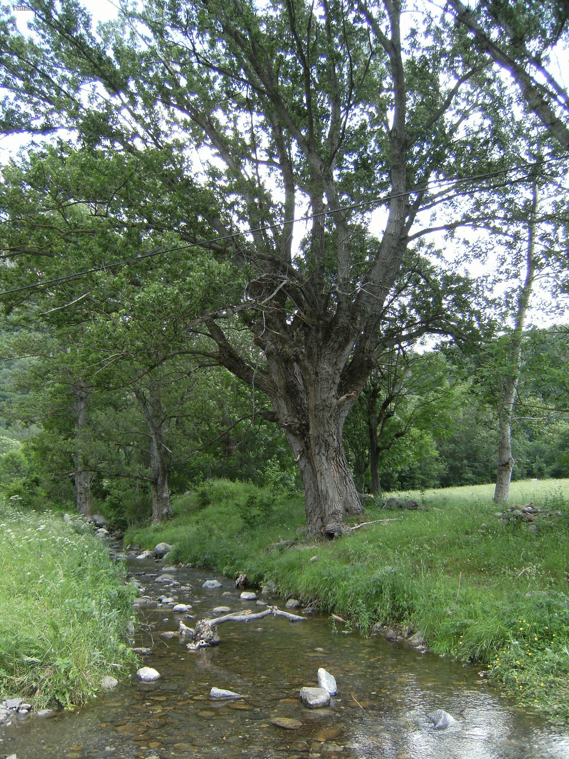Paisajes cerca de Barruera
