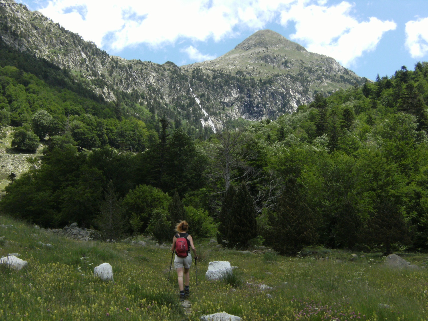Bosques en el alto Valle de Barrab&eacute;s