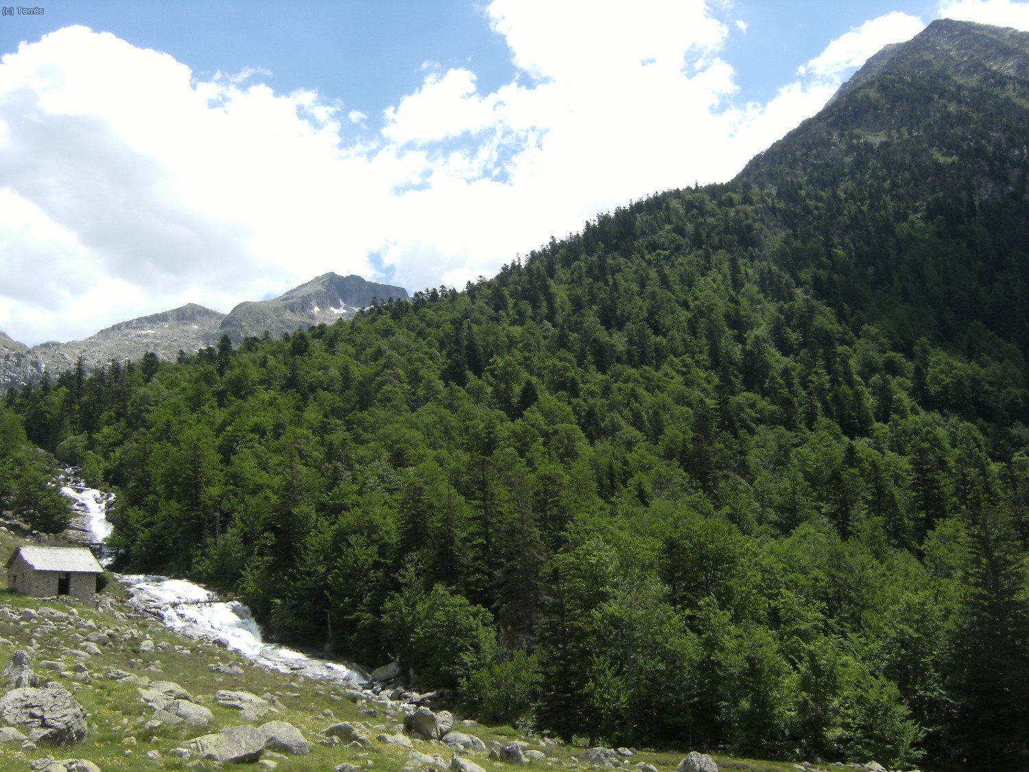 Barranc de Conangles y bosques que rodean el macizo de los Besiberris