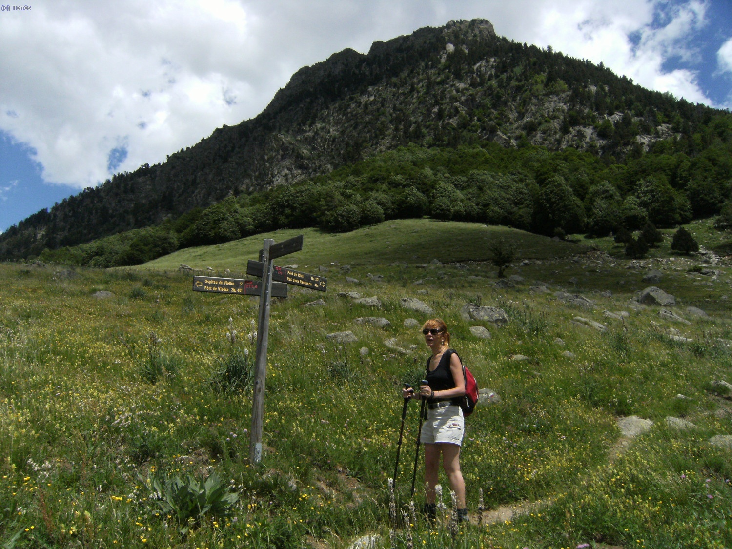 Cruce de caminos