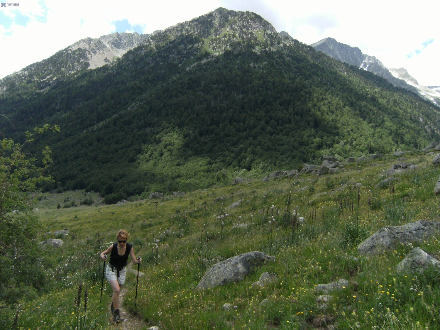 Atr&aacute;s queda los bosques del alto Valle de Barrab&eacute;s