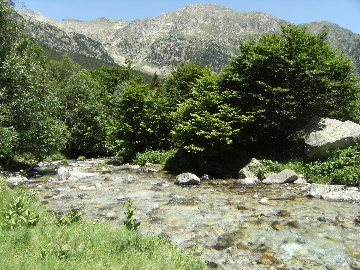 Barranc de Mulieres