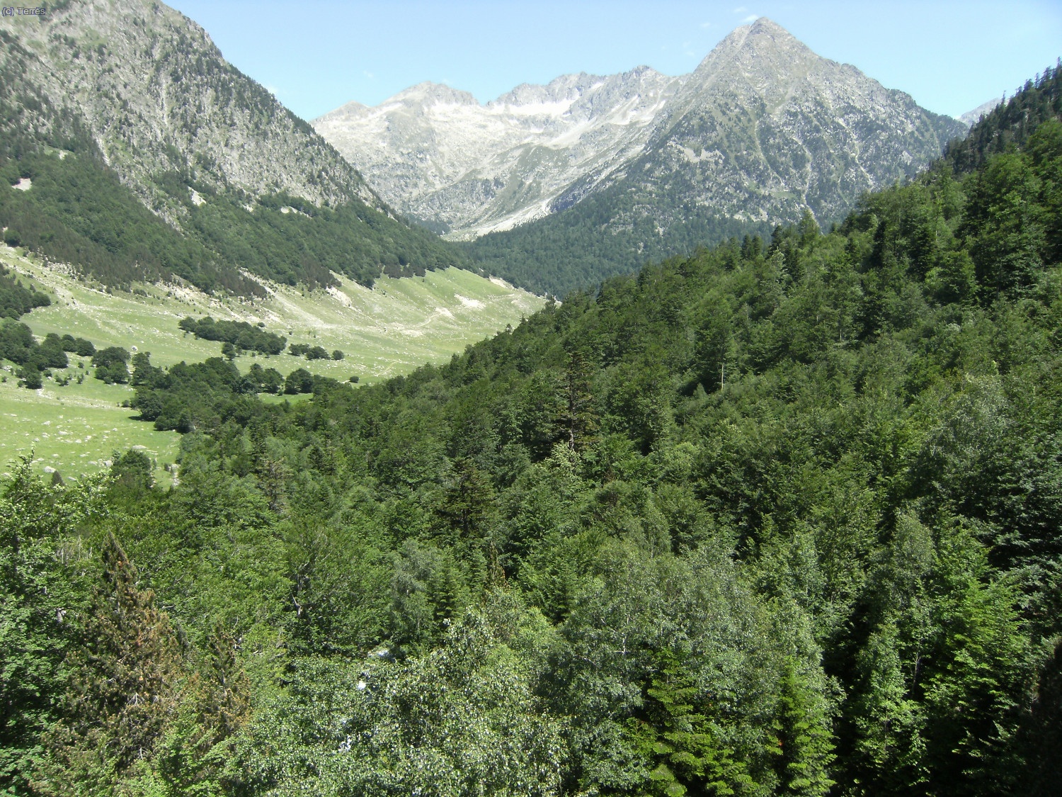 Bosques del Valle de Mulieres, al fondo el Valle de Conangles