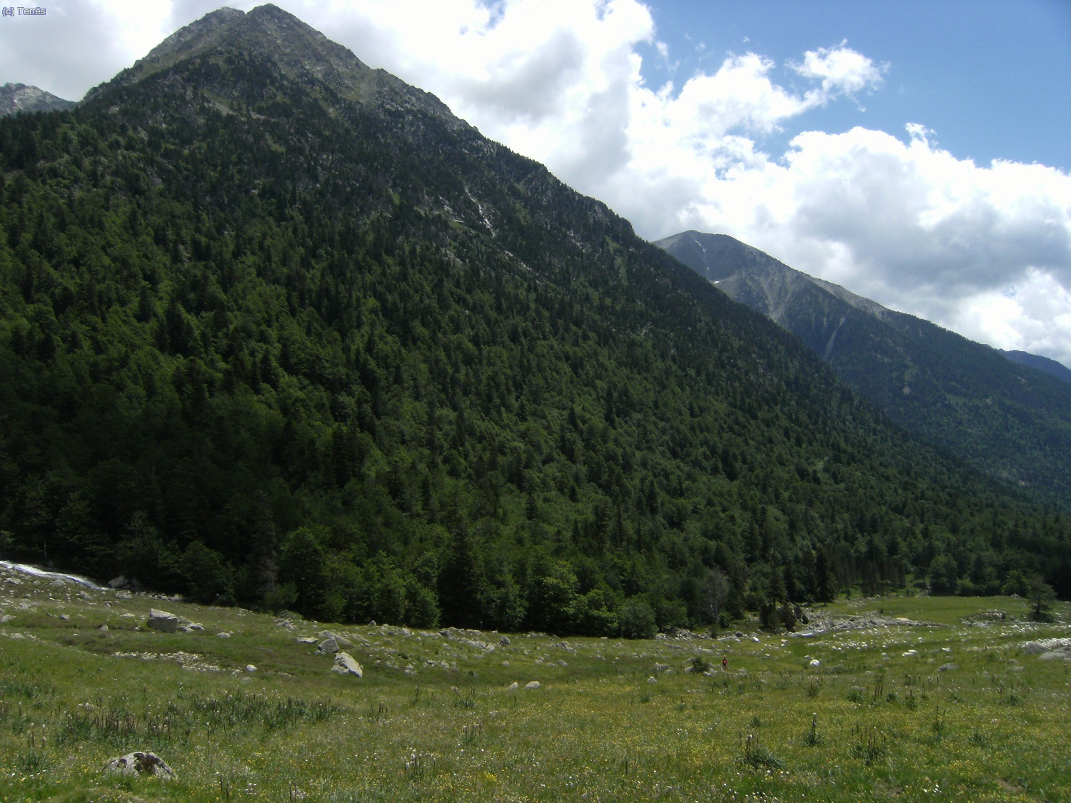 Bosques de Conangles