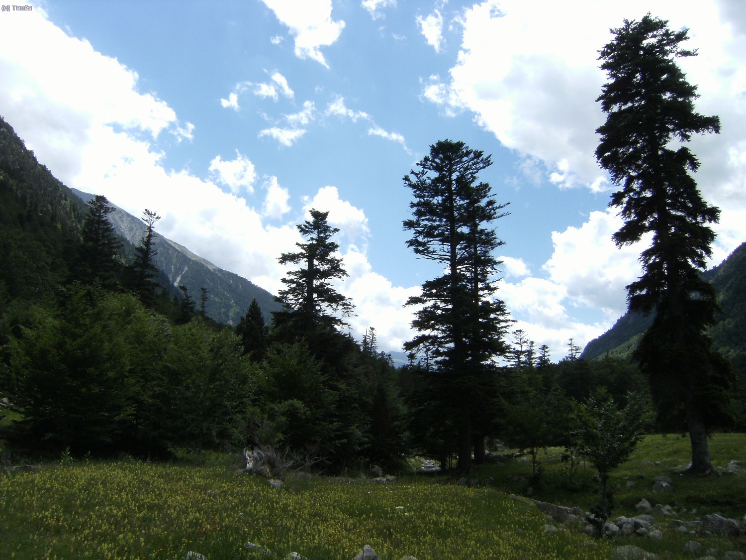 Bosques de Conangles