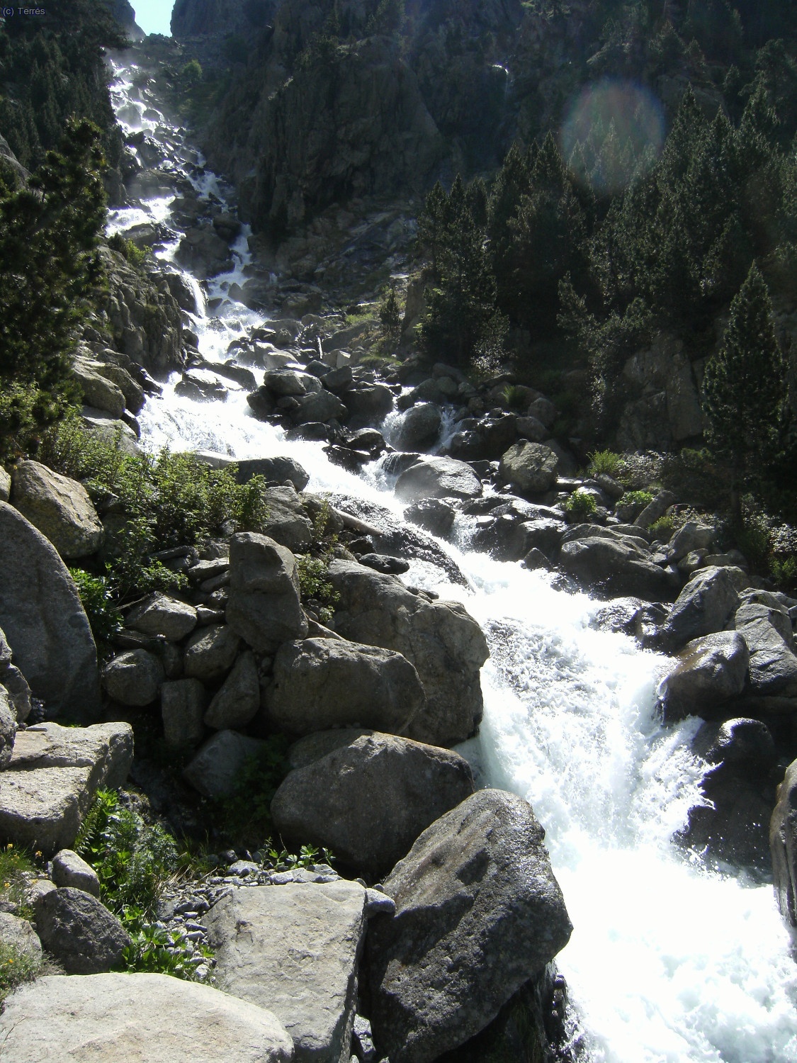 Riuet de l