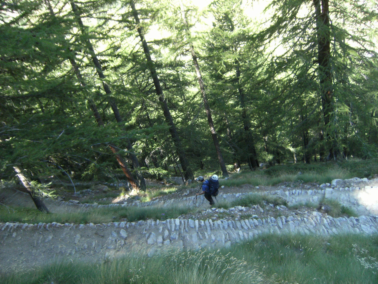 Jes&uacute;s adentr&aacute;ndose en el bosque