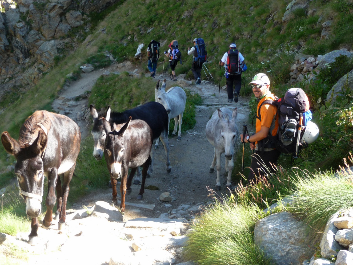 No cruzamos con los porteadores de refugio (Foto: Toni)