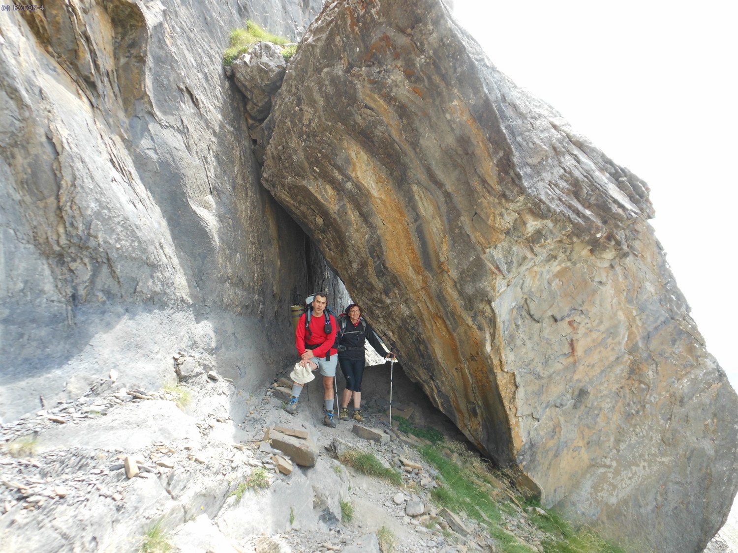 Una piedra en el camino......