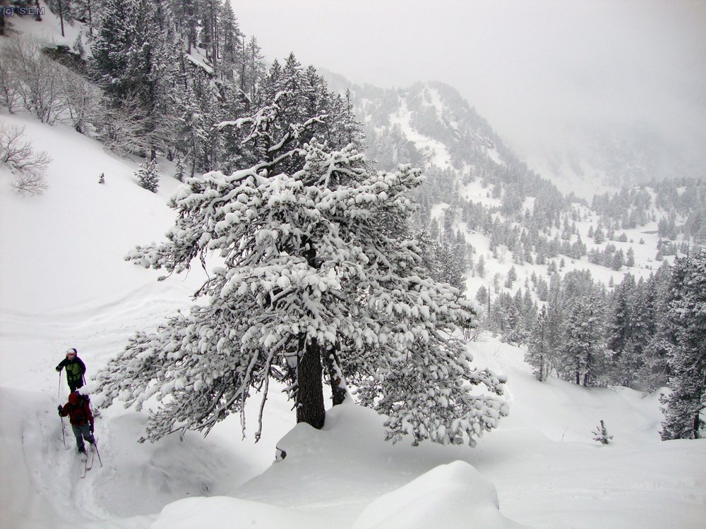 Estampa totalment invernal