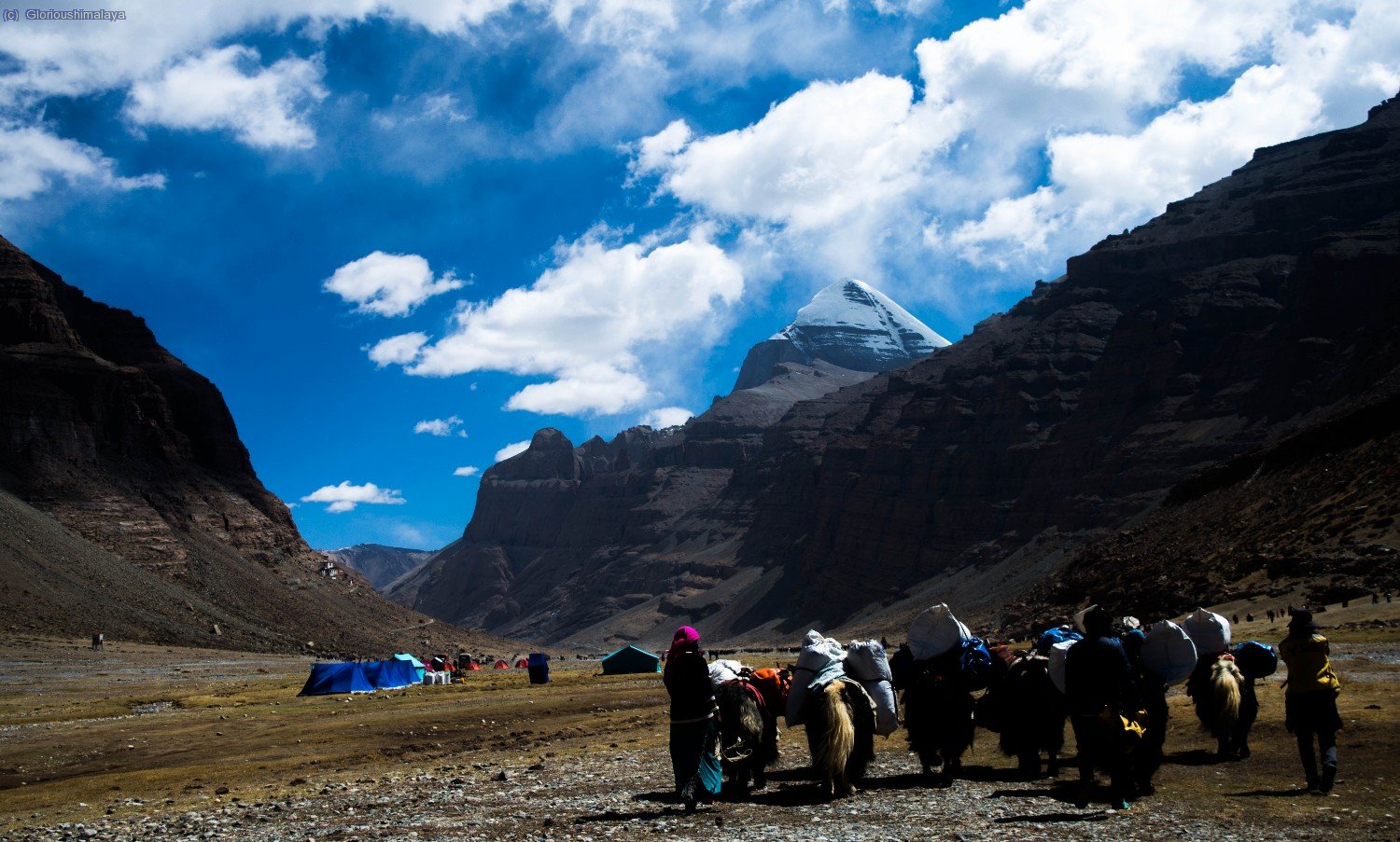 Mount Kailash Tour 